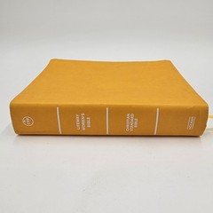 LIKE NEW | CSB Lifeway Women’s Bible | Marigold LeatherTouch | Devotional Study