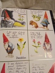 Gnomes By Wil Huygen(Deluxe Collectors Edition, 1st Edition, And Still Has…