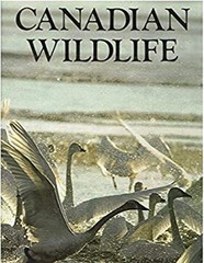 CANADIAN WILDLIFE. Rupert O. Matthews