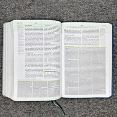 Christian Standard CSB Disciple’s Study Bible Navy/Mist LeatherTouch Holman HTF