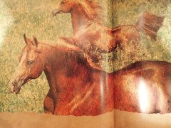 Robert Vavra – Horses of the Sun – Signed(somewhat uniquely)