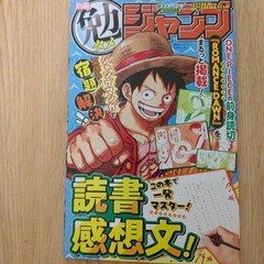 Bessatsu Saikyo Jump August 2024 Romance Dawn One Piece Appendix Card Set