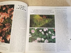 (D6.14) Lot of 3 Books: PERENNIALS and SHADE GARDENS