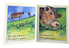 The Wright Group Story Box Emergent Books 21 Readers Joy Cowley Levels E F G H I