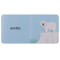 Hello World 12 Board Books Collection Set – Ages 2+ – By Sweet Cherry Publishing