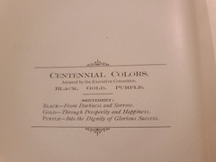 Johnstown Centennial 1800-1900 Book Published By Executive Committee 101 Pages