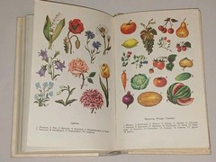 1981 В. Бирюков – Толковый словарь русского языка. Vintage Book in Russian