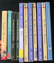 Lot of 10 My Side of the Mountain +1 by J C George Guided Reading Class Set Lot