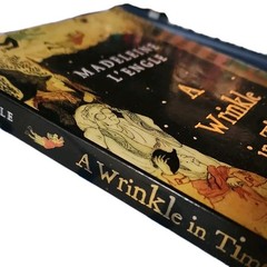 Square Fish A Wrinkle in Time Quintet Madeleine L’Engle Perfect 2007 Time Travel