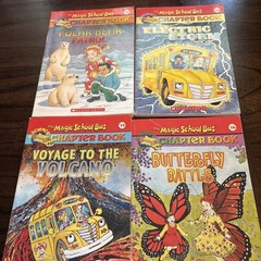 The Magic School Bus Chapter Book Lot Of 10. #5,8-16