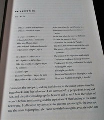 NATIVE MEN REMADE Gender and Nation in Contemporary Hawaii PB 2008 Culture