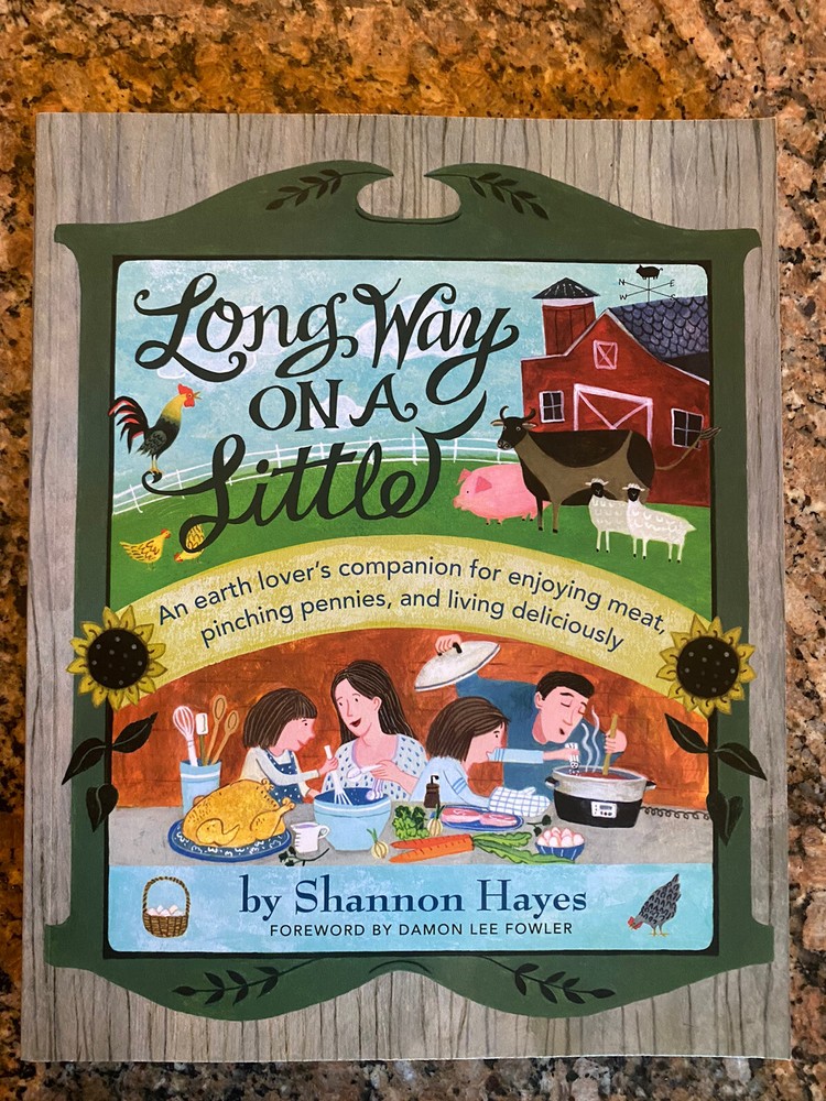 Long Way On A Little Shannon Hayes Trade Paperback Brand New Free Shipping