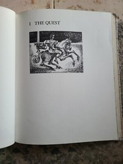 The Knight Of The Lion Gerald McDermott Four Winds Press 1979 First Ed HC VTG!