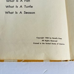 What Is A Butterfly Book 1958 Gene Darby What Is It Series Vintage MCM Science