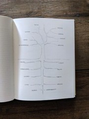 Arboretum By David Byrne Book with Large Foldout Phycology Rare! MISC1