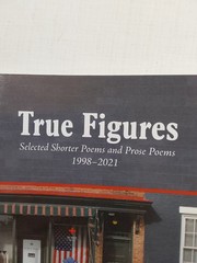 True Figures: Selected Shorter Poems and Prose Poems 1998-2021 by Blair, David