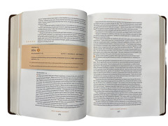 Biblia Cronologica dia Por dia | Simil Piel Marron