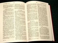 Russian/English Parallel BIble,Blue Grey ImitationLeather,Synodal/King James
