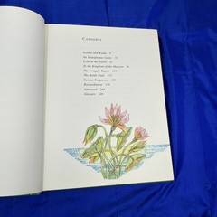 The Mahabharata Retold By Vladimir Miltner Illustrated By Jaromir Skrivanek HB