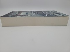 Turning the Storm By Lee Jackson (Paperback)