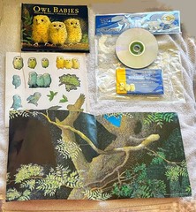 Owl🦉Babies📘Candlewick📀Storybook🥚Animations Book +DVD Martin Waddell FreeShip
