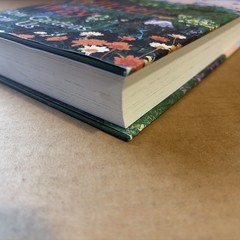 A Wilder Way: How Gardens Grow Us by Poppy Okotcha