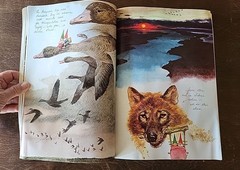 Gnomes, 1979 SC, Wil Huygen, Rien Poortvliet,, First Ed.