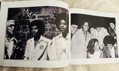 Never Can Say Goodbye: The Katherine Jackson Story by Vintage Pop Media Group