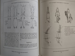 Horse Gaits, Balance and Movement Susan Harris 1993 Mechanics of Movement
