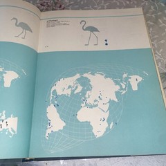 THE WORLD OF BIRDS, J. Fisher, Roger Tory Peterson, 1st Ed, 1964, HCDJ