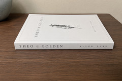 Theo of Golden Paperback by Allen Levi New book