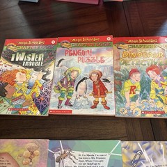 The Magic School Bus Chapter Book Lot Of 10. #5,8-16