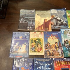 Chapter Books Fantasy-Lot of 18-dragons, Warriors, Narnia, Choose Own Adventure