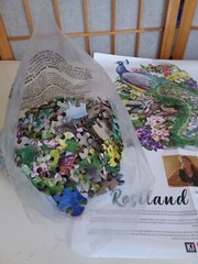 PUZZLE Rosalind Solomon Peacock of India 300 PCS Poster Custom Shaped 24″ x 17″