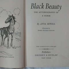 11 Book Youth Blazing Sun Peter Wendy Straw Hat Howie Lennon ShirleyTemple Heidi