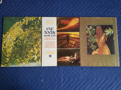 Lot of 3 Playboy Press Special EVE TODAY Book 1,2,3
