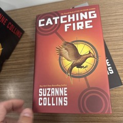 Hunger Games Trilogy Boxed Set Set by Suzanne Collins (2010, Box or Slipcased)