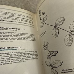 Lot 4 Books Wildflowers & Plants By Different Authors