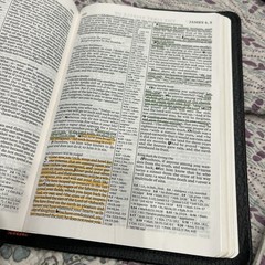 ✝️ Pitt Minion Reference Bible NKJV Calf Skin Leather / Fine Binding – Cambridge