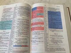 NIV Prophecy Marked Reference Study Bible 1998 Hardcover 1984