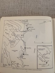 Upper Carboniferous Fossil Flora Nova Scotia Paleobotany Museum Monograph 1980