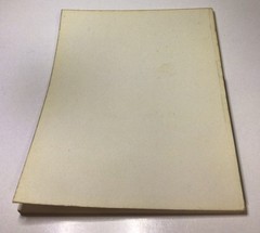 Hans Eworth A Tudor Artist And His Circle 1965 1966 Art Gallery Catalogue PB