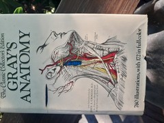 Gray’s Anatomy: The Classic Collector’s Edition~Henry Gray~VINTAGE 1977 HC/DJ
