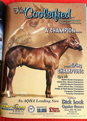 SALE ENDS 6/15! 2008 Quarter Horse Journal STALLION EDITION Book, PEPTOBOONSMAL