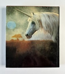 The Unicorns of Kilimanjaro by Robert Vavra First Edition fantasy photography