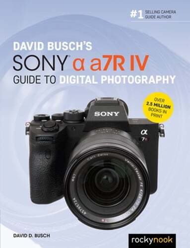 David Busch’s Sony Alpha A7r IV Guide to Digital Photography by David D Busch
