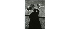 Moriyama Zoo No. 1 Brand New Sealed Limited Edition Box Set