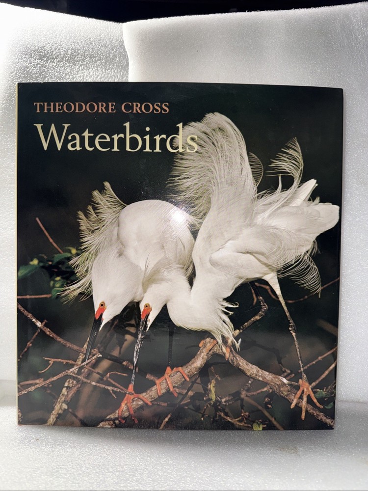 Waterbirds by Theodore Cross