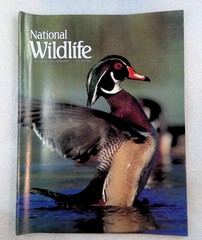 National Wildlife Magazine 1993 August-September Issue Wood Duck Lynx Natl