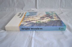 Bright Wonders Economy Reading Series 1986 Lv. K 3-2 Matteoni Sucher Klein Welch